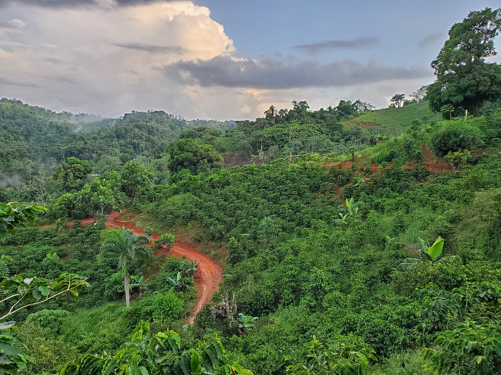 Hacienda Salome, Mayaguez PR