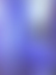 Preparing to Contact a Photographer: How-To