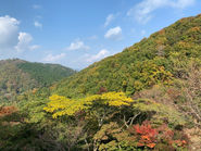 コロナ禍で住まいを「地方移転」と「都心継続」を考える