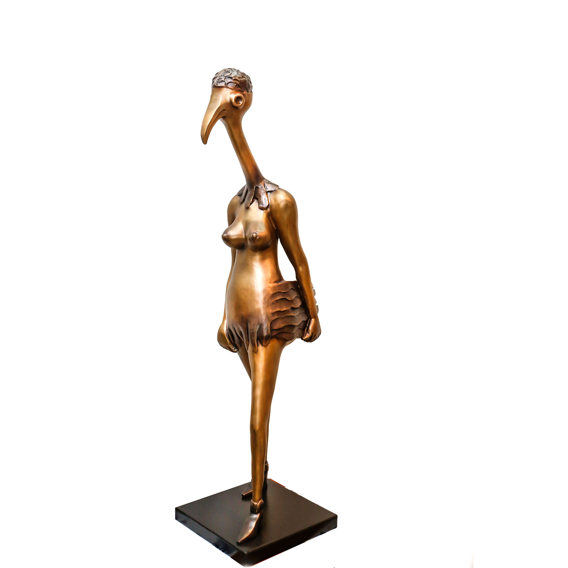 Fancy Lady / גברת מגונדרת