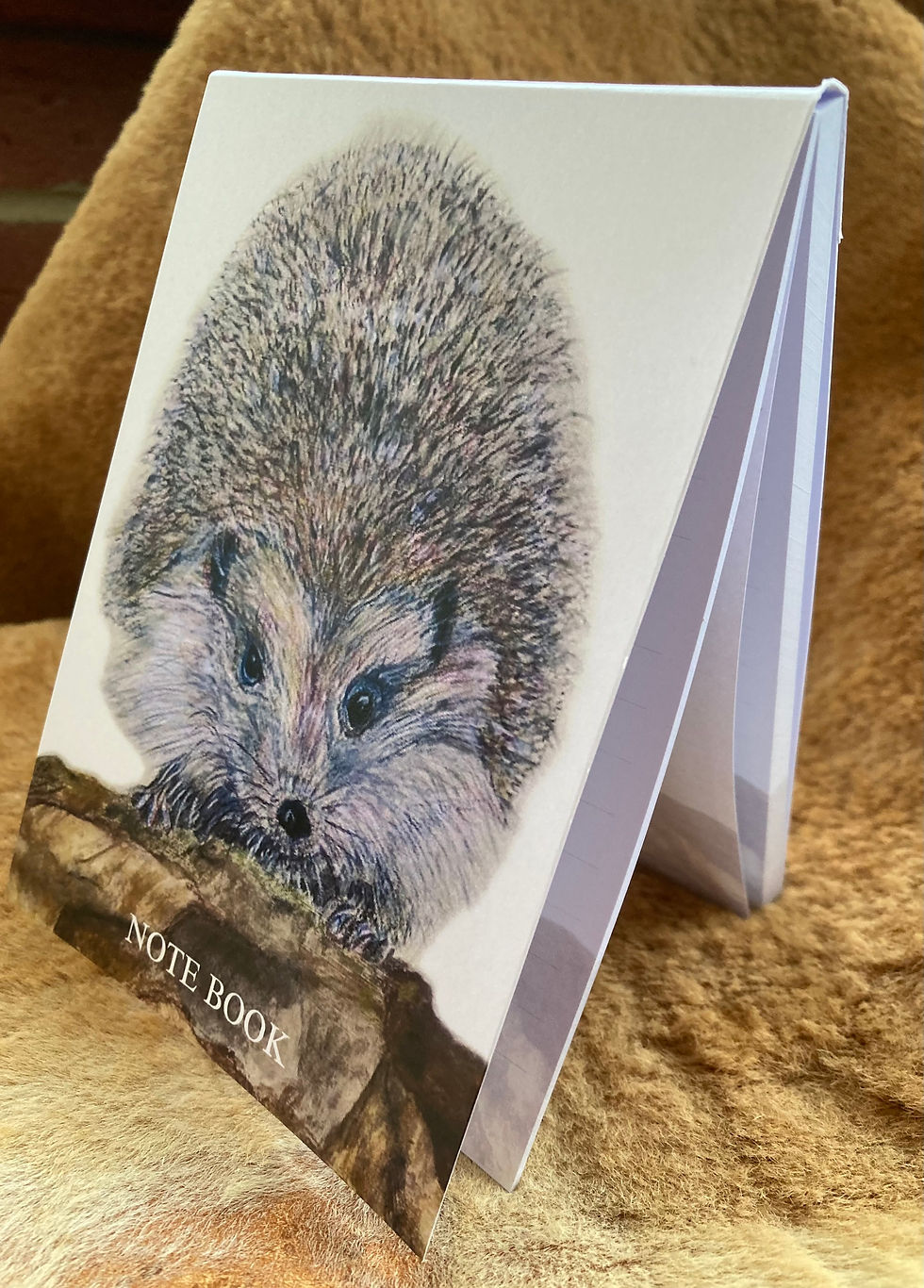 Thumbnail: Notebook  with Hedgehog Design