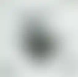 Black and white drawing of a person and birds, TYRONEGETER.COM