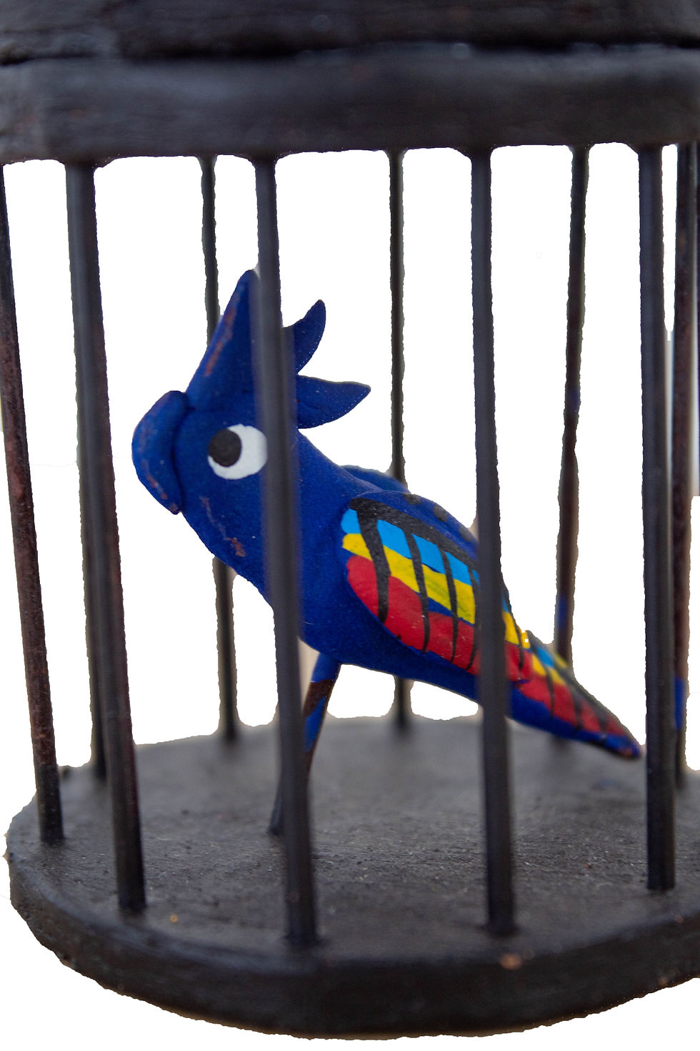 Thumbnail: Catrina with Aviary