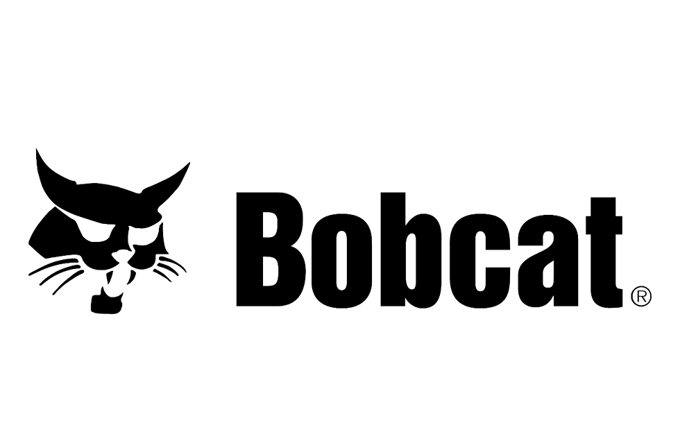 bobcat