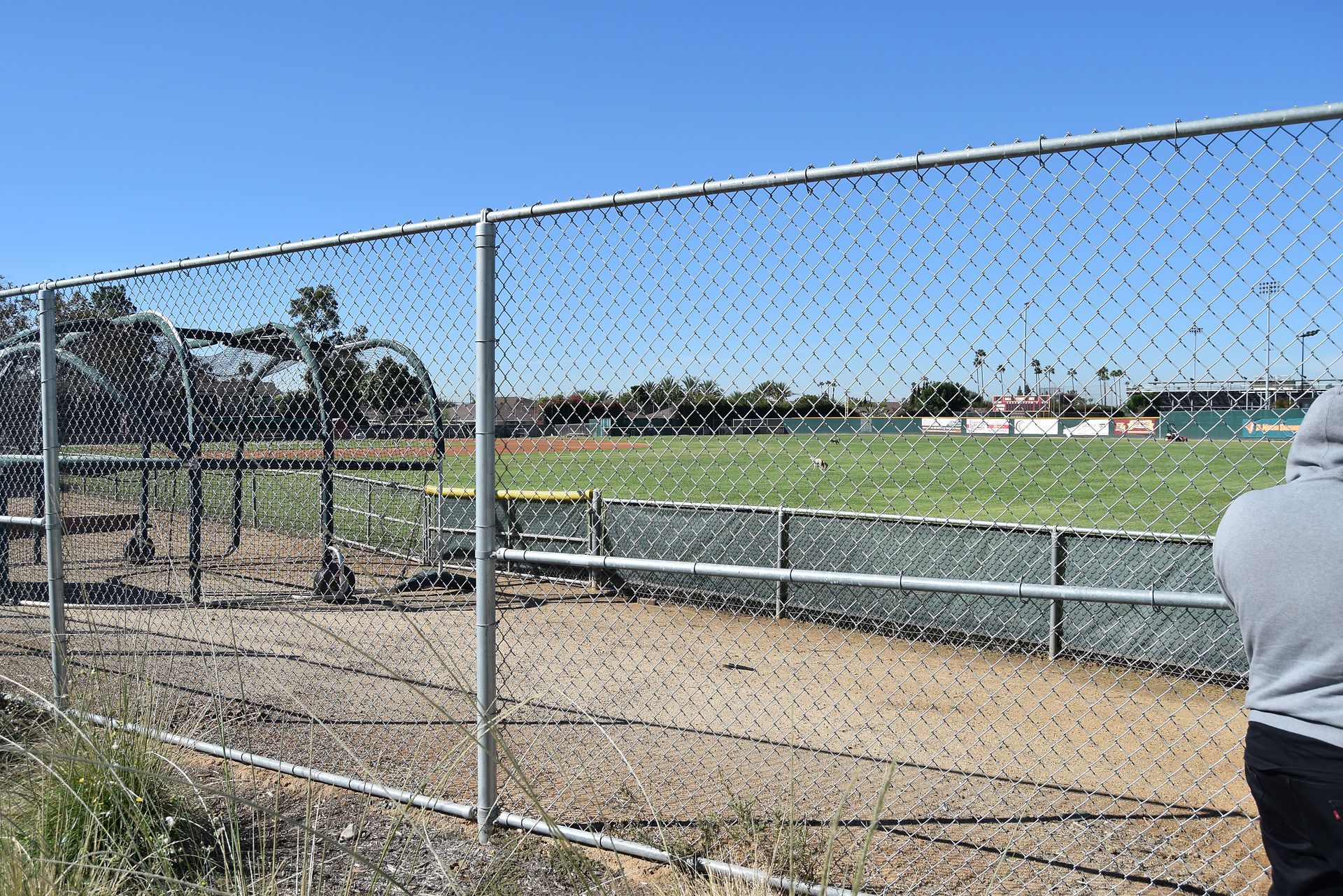 Baseball Field
