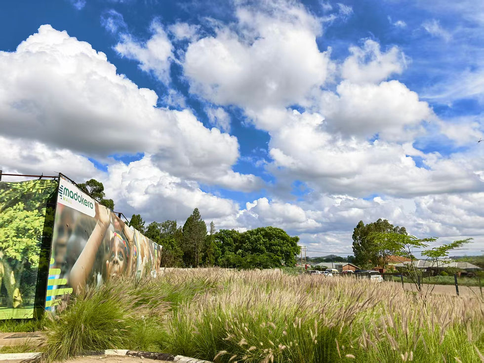 Beautiful Zimbabwe, See You Next Time！