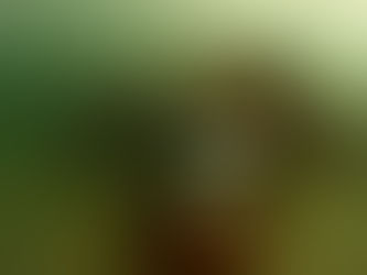 ＧＷ後半は！！大分ダイビングステラマリス