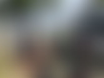 週末のステラマリス!!大分ダイビング