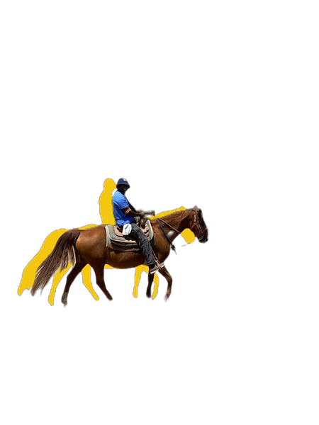 On a creative writing journey blazing the trail that is speculative fiction.