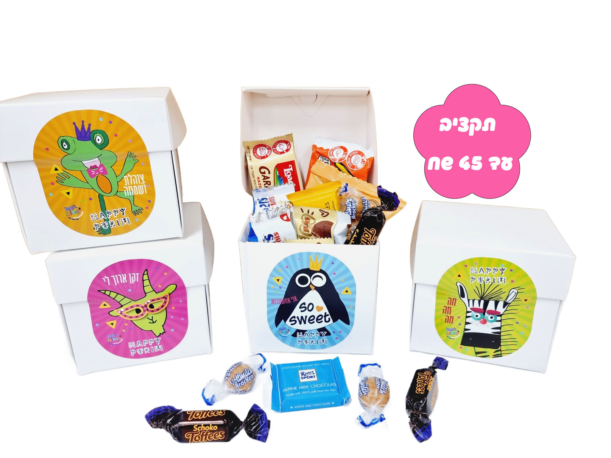 משלוחי מנות עם ערך חברתי לפורים - החיות של דודו - קוביות ינשופונים וחיות