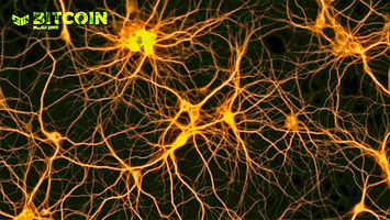 Bitcoin And Network Effects - Bitcoin Magazine: Bitcoin News, Articles, Charts, and Guides