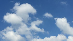 CTC August Newsletter