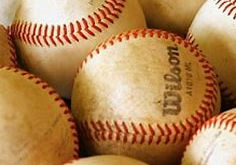 Schaumburg Boomers Social Event