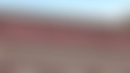 Oberweis Ice Cream Social