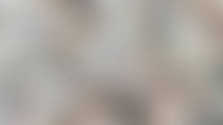 Rotary Club of Buffalo Grove