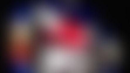 Windy City Bulls Social