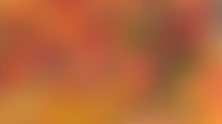 October Friday Forum Videos: A Day of Benefits and Planning