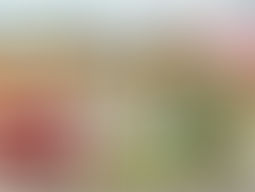 February Info Tours: Clearbrook CILAs and Commons ICF/IID