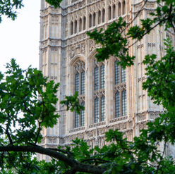 Photograph of parliamentary building through the trees.