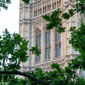 Photograph of parliamentary building through the trees.