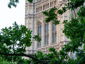 Photograph of parliamentary building through the trees.