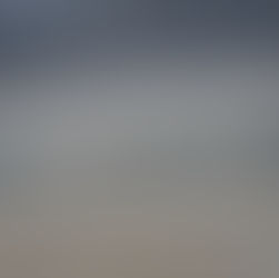 Balancing Public Interest and Planning Control – Accommodation of Asylum Seekers – Epping Forest District Council v Somani Hotels Ltd