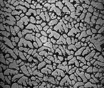 SAC_305_Microstructure.jpg