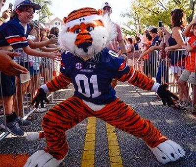 No Accounting for Late Work in Grades?