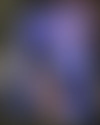 Exploring Feminist Literature