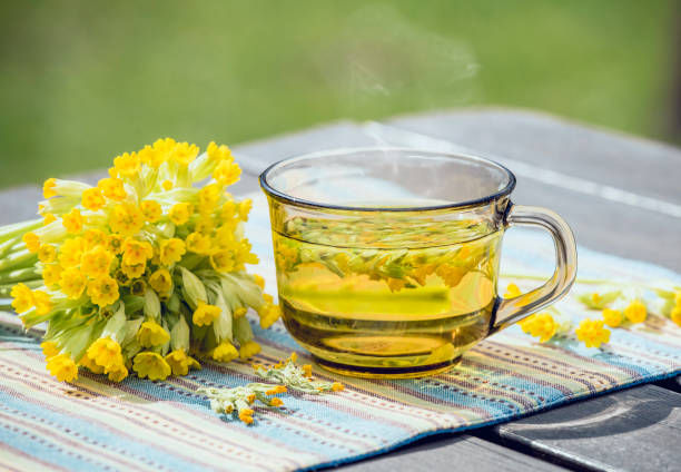 Μικρογραφία: Xαμομήλι με Νυχτολούλουδο - Chamomile with Evening Primrose extract