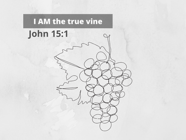 Jesus het gesê: EK IS die Ware Wingerdstok