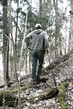 Unser Wald - Zweisimmen