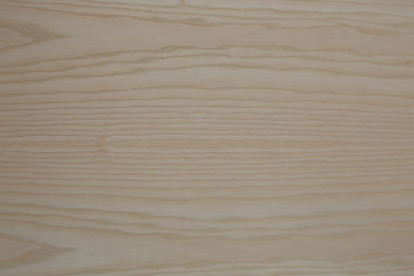 WHITE ASH retouched.jpg