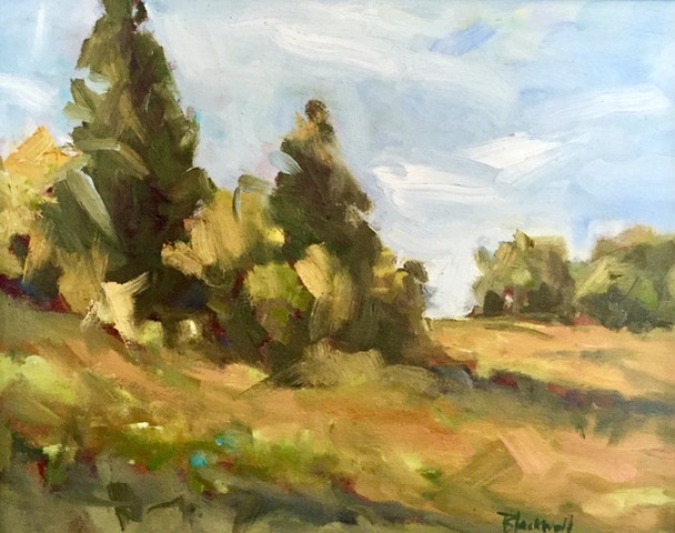 Summer Trees