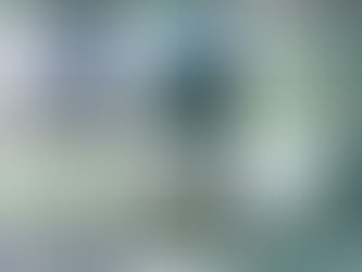 Palettes de bleus gris vert