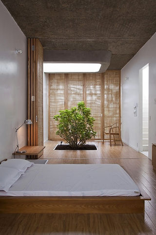 arbre-chambre-japonais