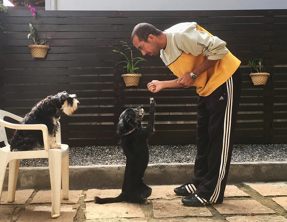 adestramento teresópolis Adestrador Teresópolis