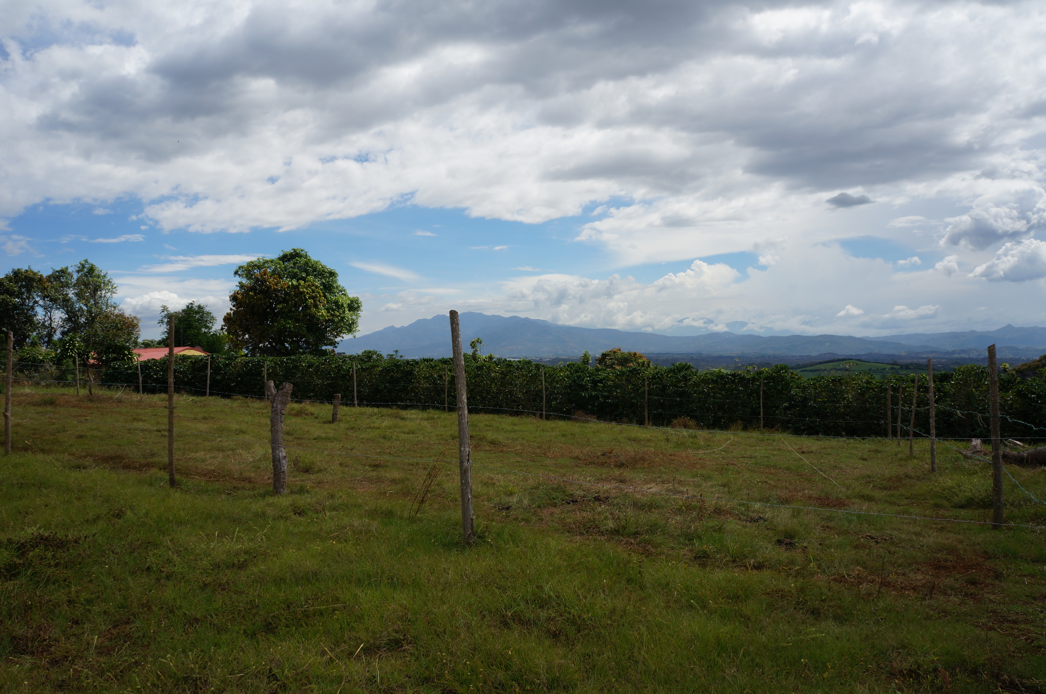 Dutch Real Estate Grecia Costa Rica,Houses,Rentals,Lots, Best Service.