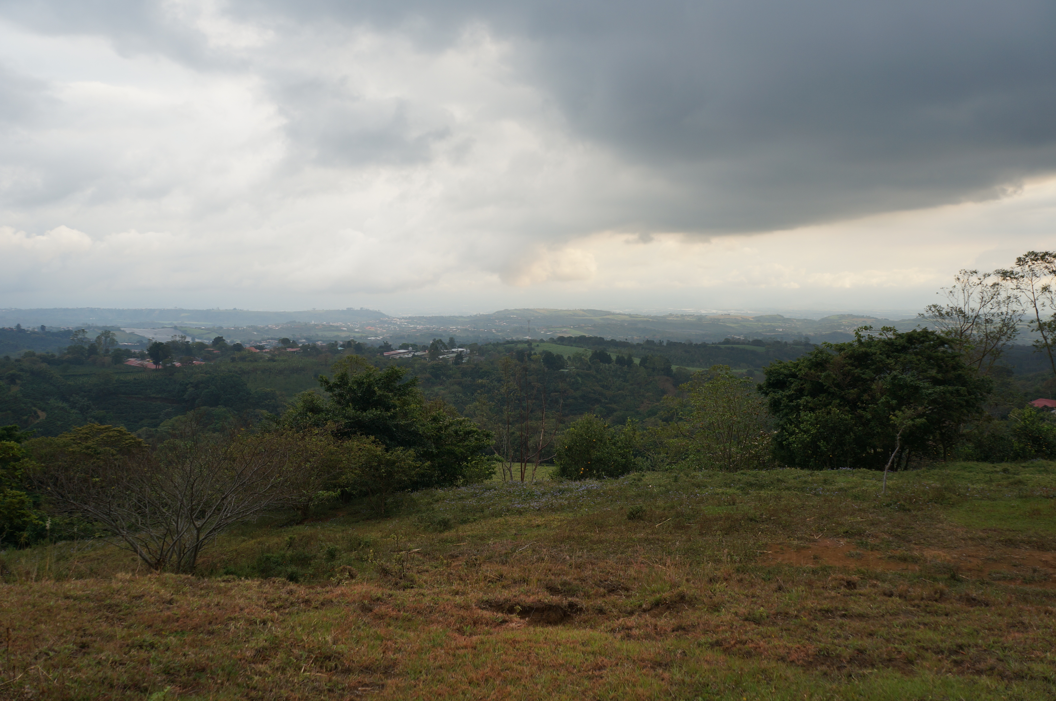 Dutch Real Estate Grecia Costa Rica,Houses,Rentals,Lots, Best Service.