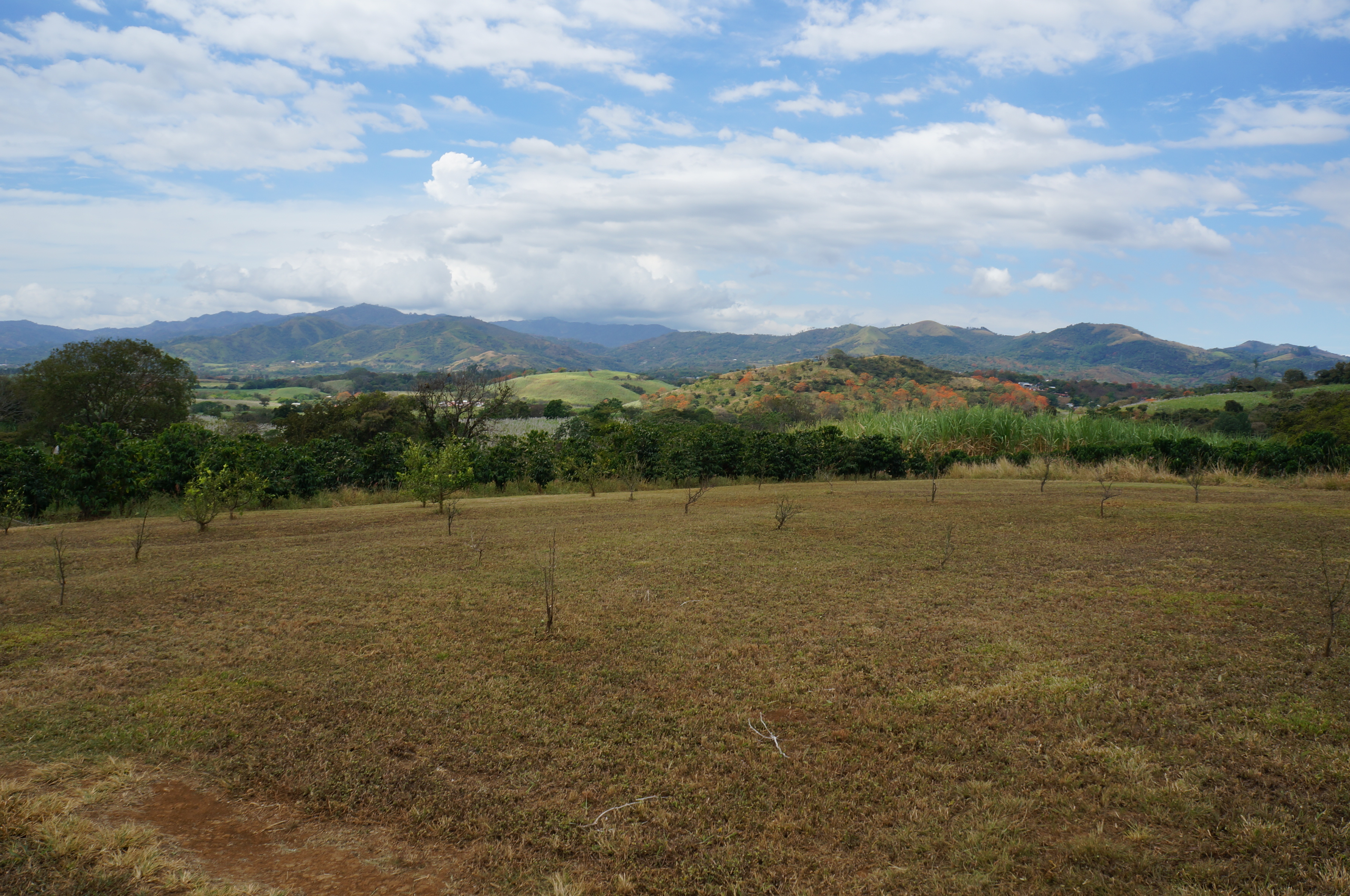 Dutch Real Estate Grecia Costa Rica,Houses,Rentals,Lots, Best Service.