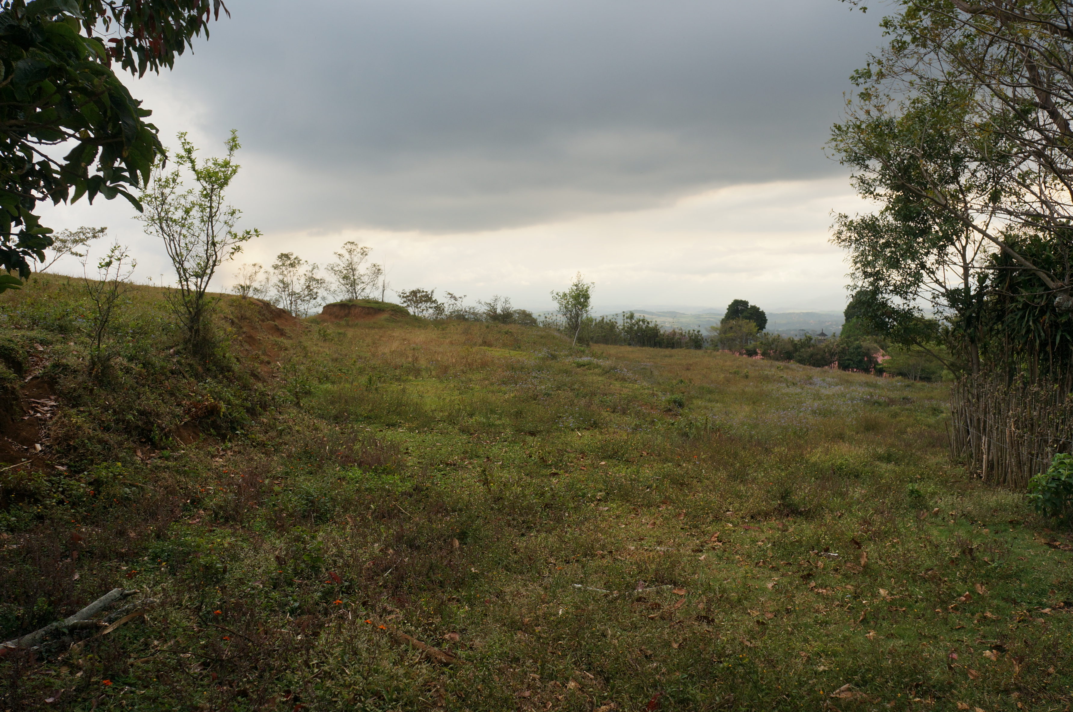 Dutch Real Estate Grecia Costa Rica,Houses,Rentals,Lots, Best Service.