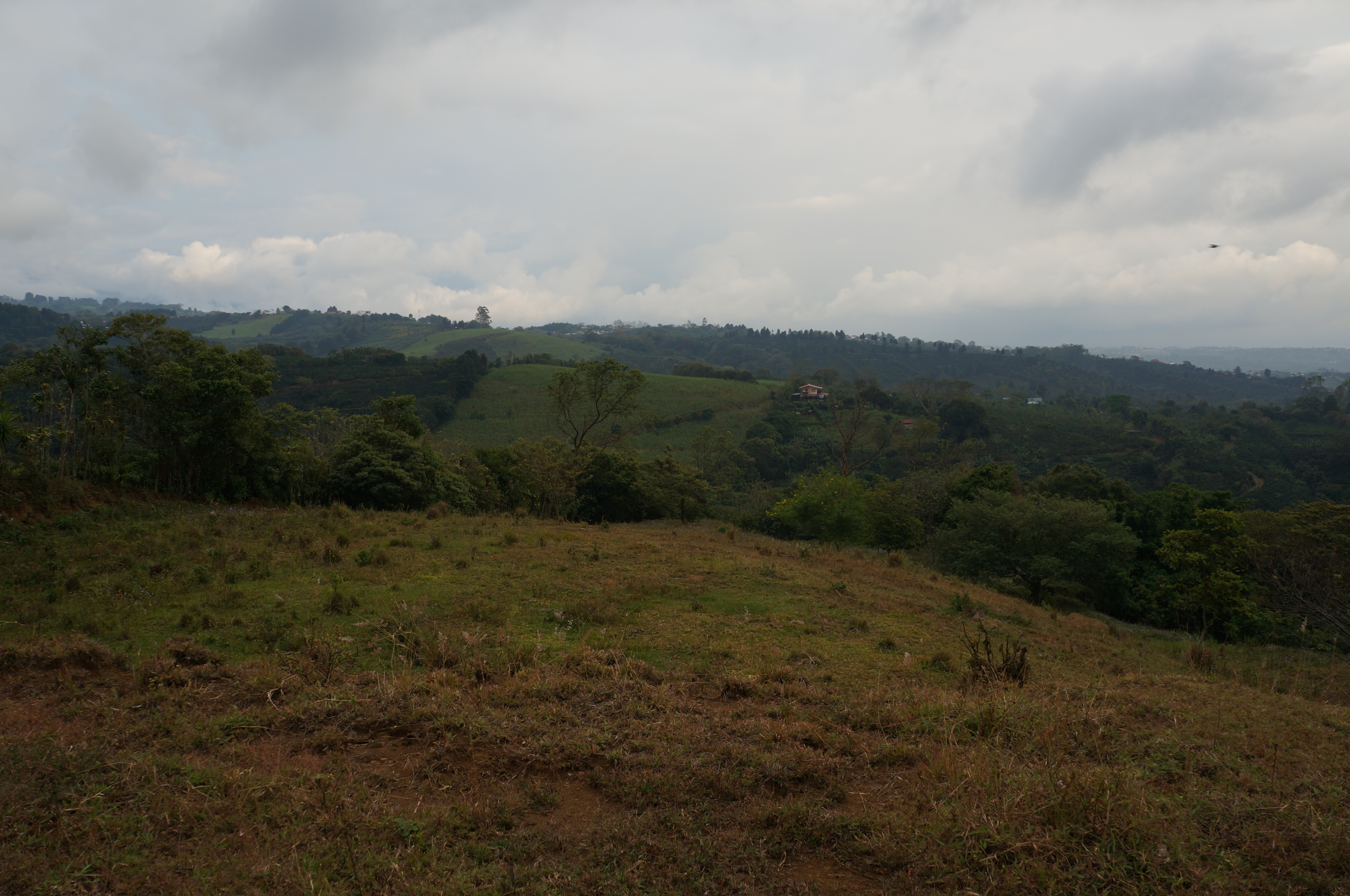 Dutch Real Estate Grecia Costa Rica,Houses,Rentals,Lots, Best Service.