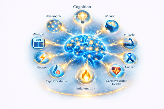 BrainFirst Focus Bonus Mod1 CGBT 26-02-18 21H13.png