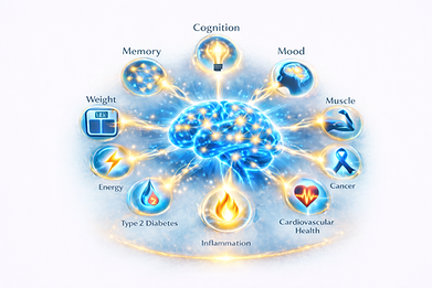 BrainFirst Focus Bonus Mod2 CGBT 26-02-21 07H55H13.png