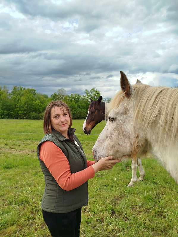 veronique renard mediation equine les megnans st menoux theracheval