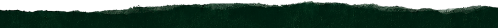BeerCraft_GreenBackground.png