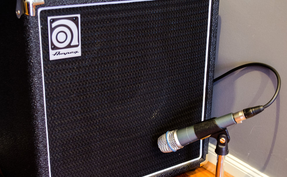 Ampeg Boss