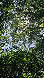 20260622_133335.jpg