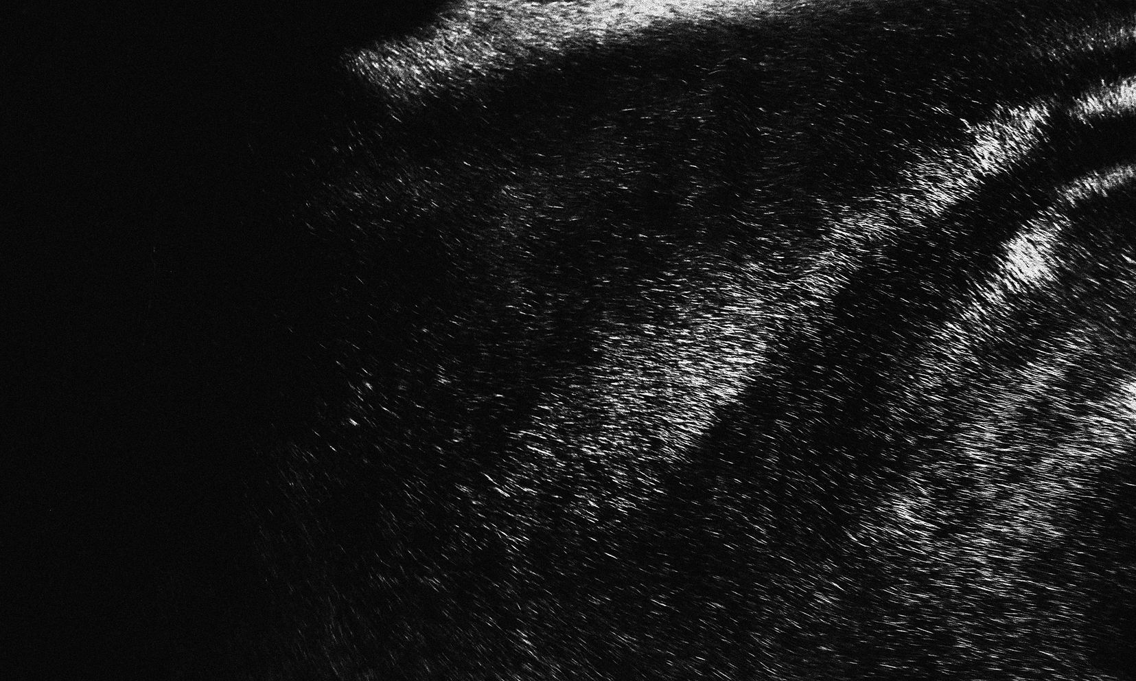 Made_of_dreams_simran_kaur (30).jpg