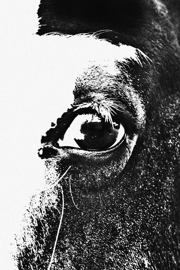 Made_of_dreams_simran_kaur (29).jpg